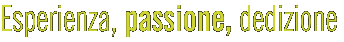 Esperienza, passione, dedizione